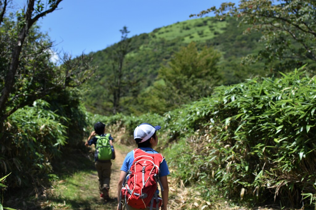 小さい登山者