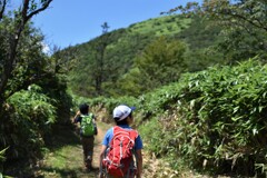 小さい登山者
