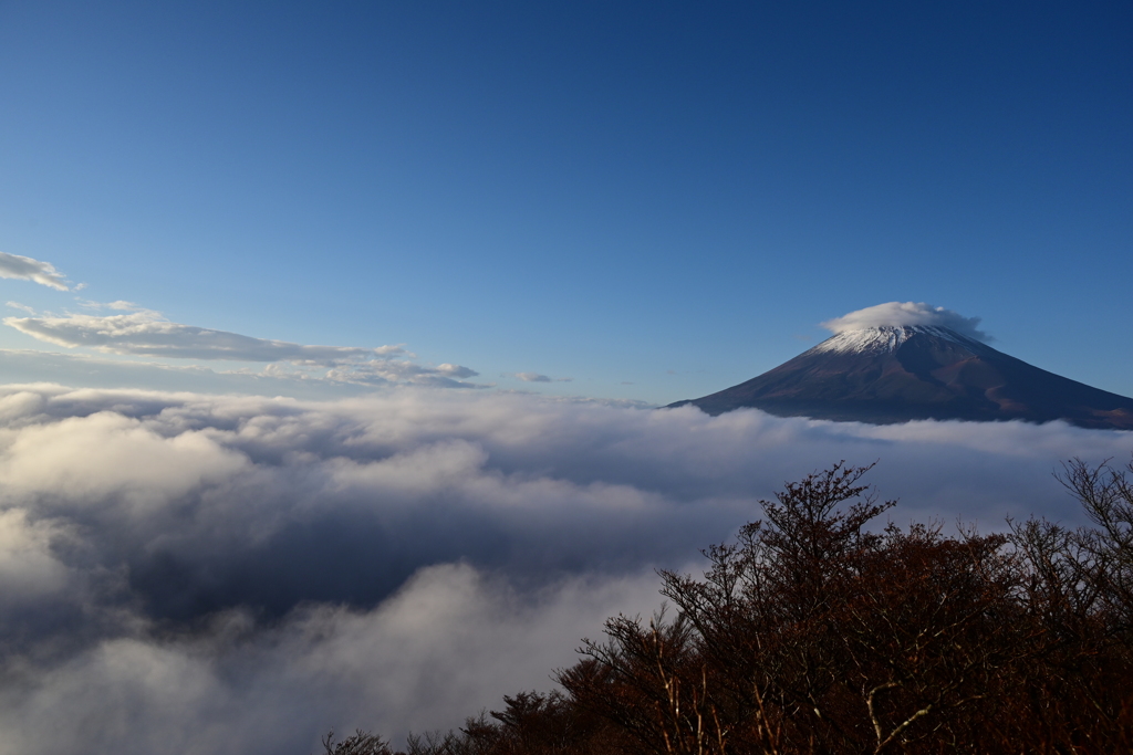 雲海富士山