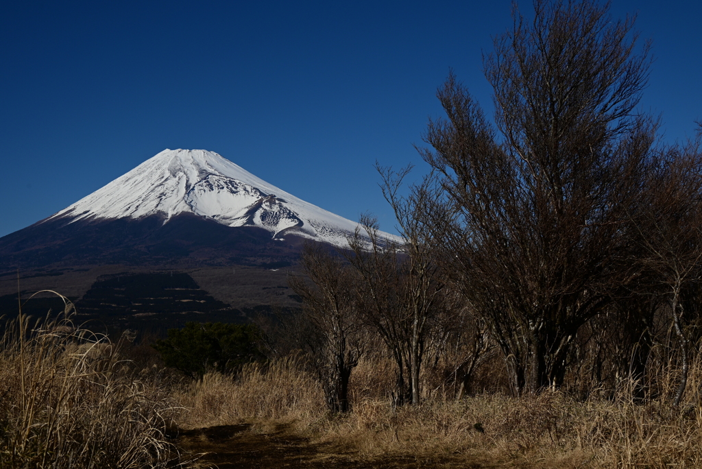 登山道から見える景色