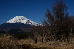 登山道から見える景色