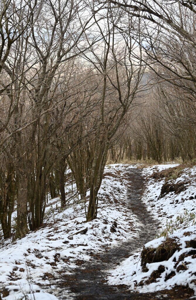 冬の登山道