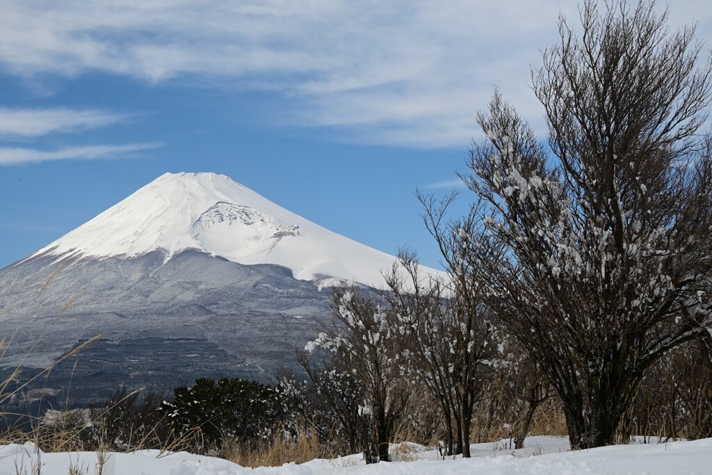 冬の登山道から見える景色