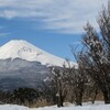 冬の登山道から見える景色