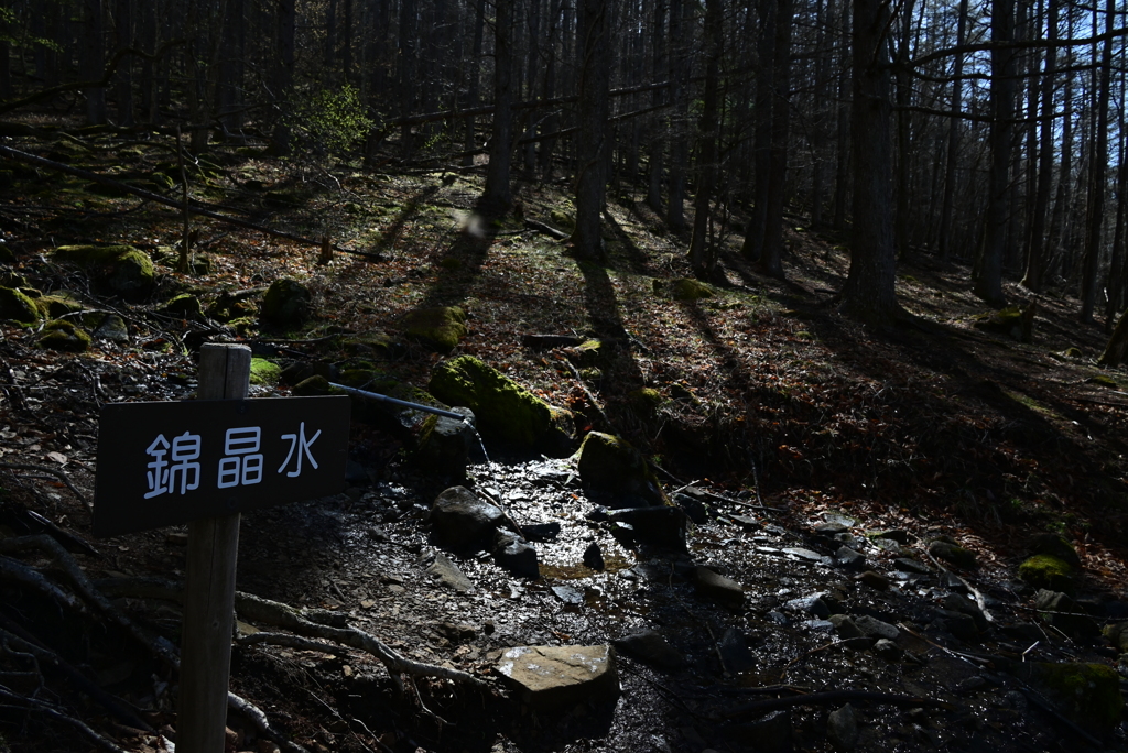 登山道の水場