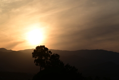 夕陽