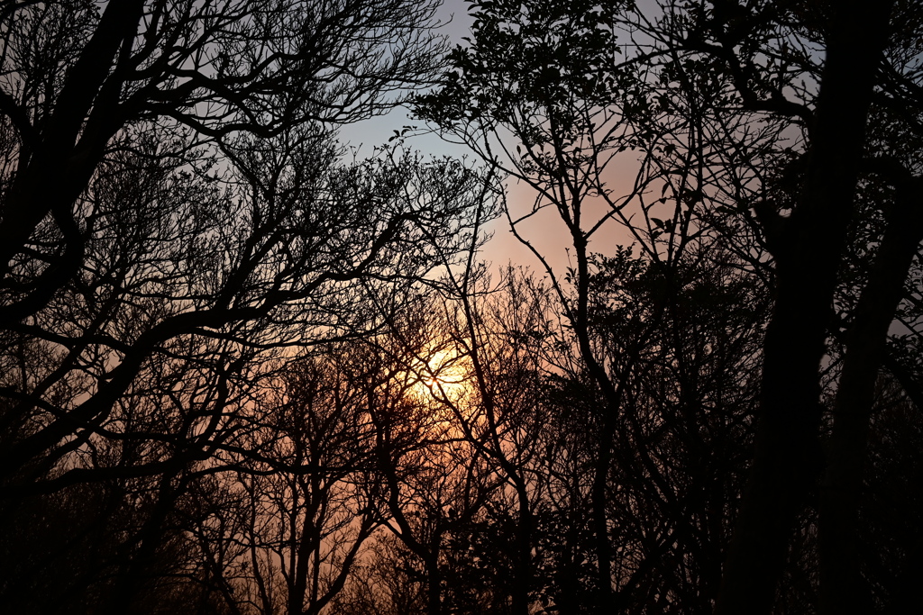 山の中から見える夕陽