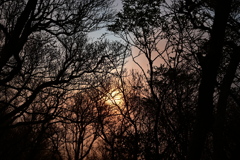山の中から見える夕陽