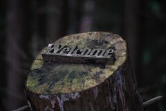 welcomeの木