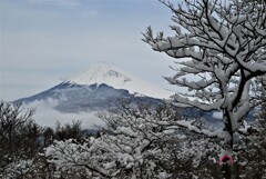 降雪後の越前岳から