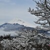 降雪後の越前岳から