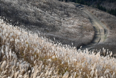 越前岳の登山道
