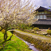 日本の風景