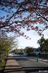 上賀茂神社・脇道