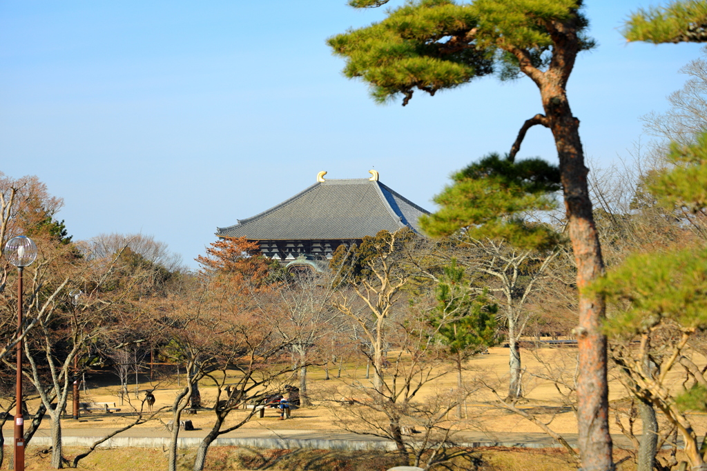 東大寺
