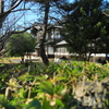 奈良国立博物館