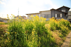 岐阜県高山市中山町