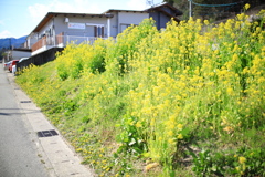 岐阜県高山市中山町