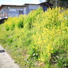 岐阜県高山市中山町