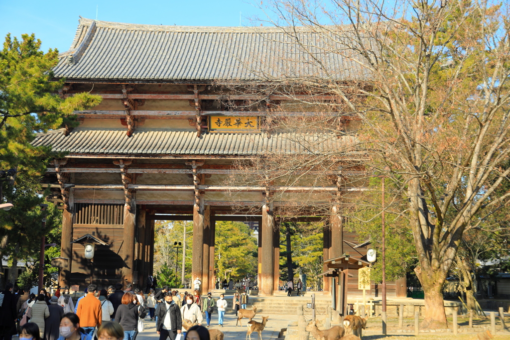 東大寺