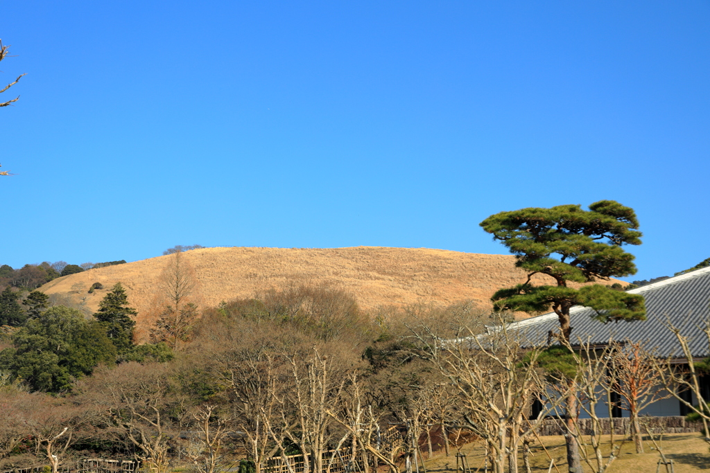 東大寺