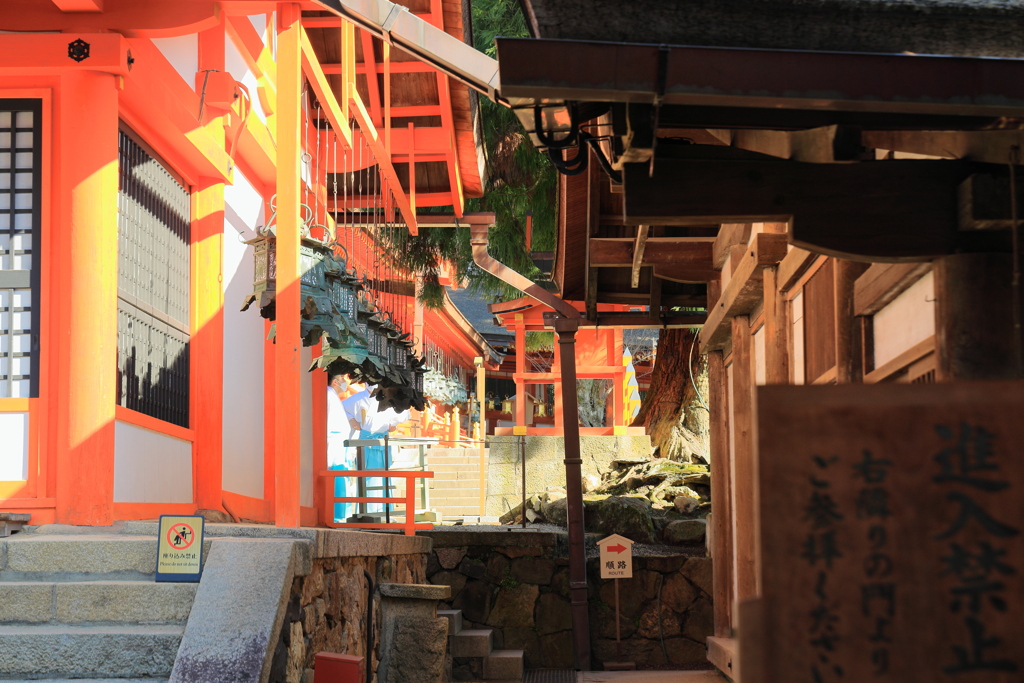 春日大社