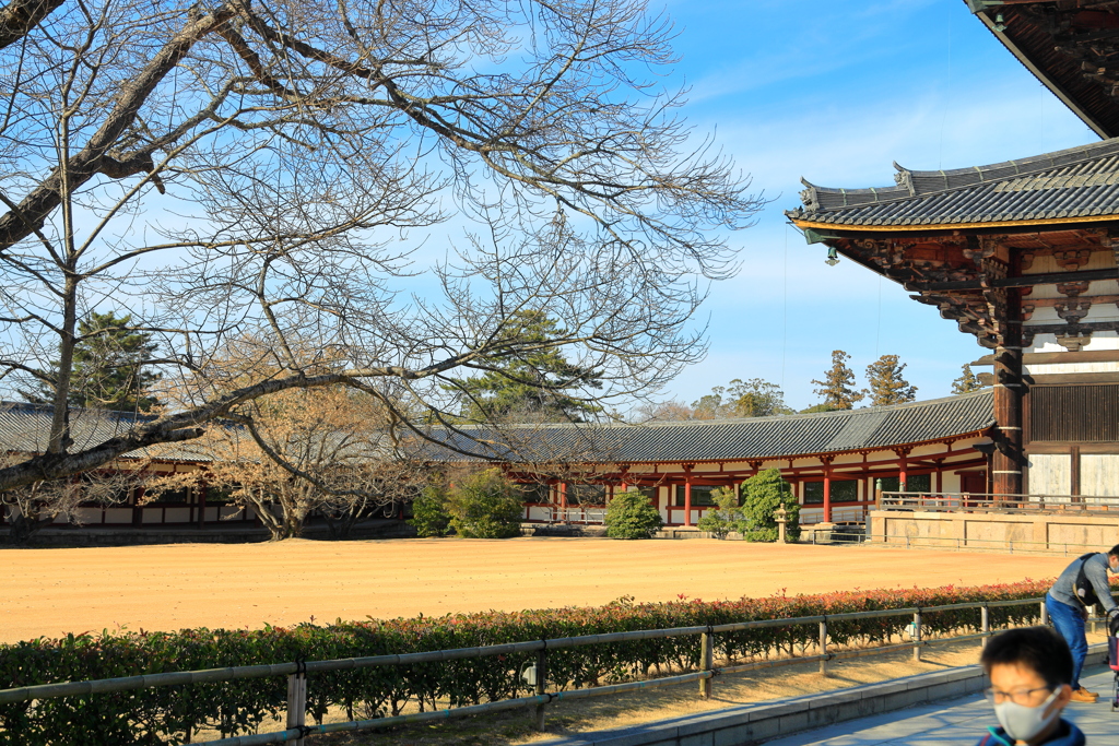 東大寺