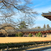 東大寺