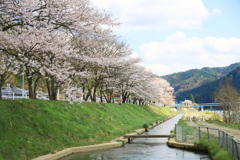 飛騨高山 桜野公園