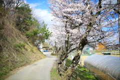 岐阜県高山市中山町