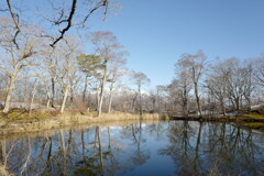 大沼公園リフレクション