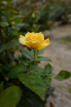 L1020562