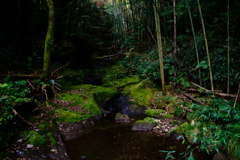 玉繁寺の滝