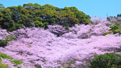 DSCN1064_00001