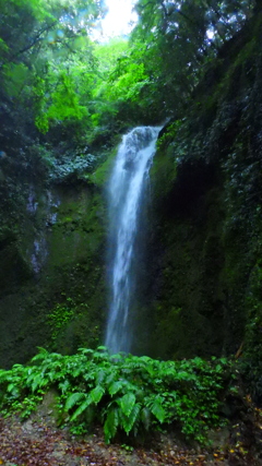 女山滝