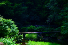 吾平山上陵