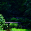 吾平山上陵