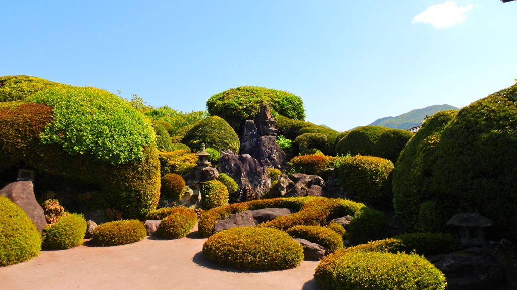 庭園