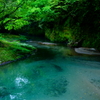 大出水の湧水