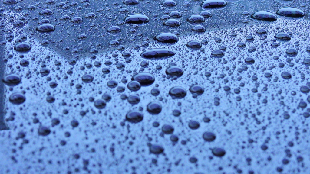 水玉