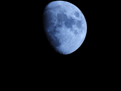 DSCN0644