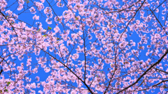 DSCN1040_00001