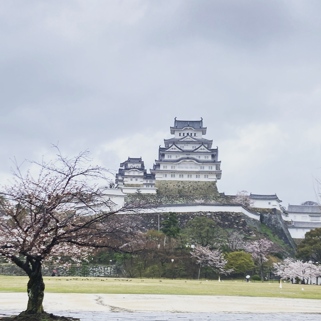 雨でも姫路城