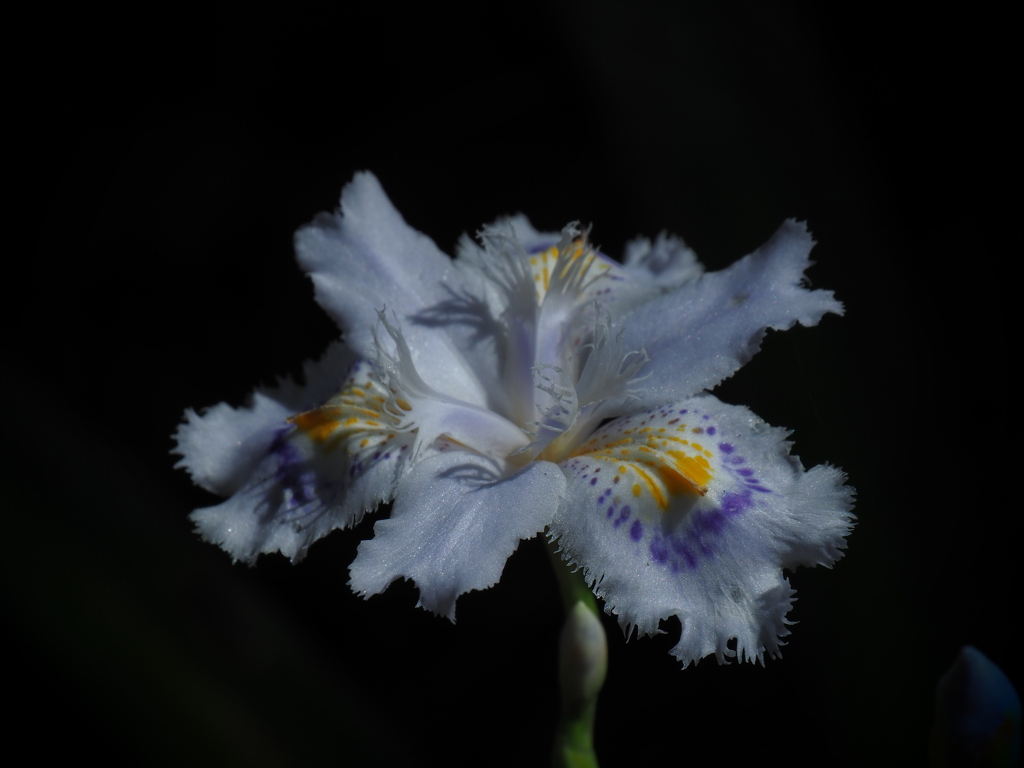 P4104325