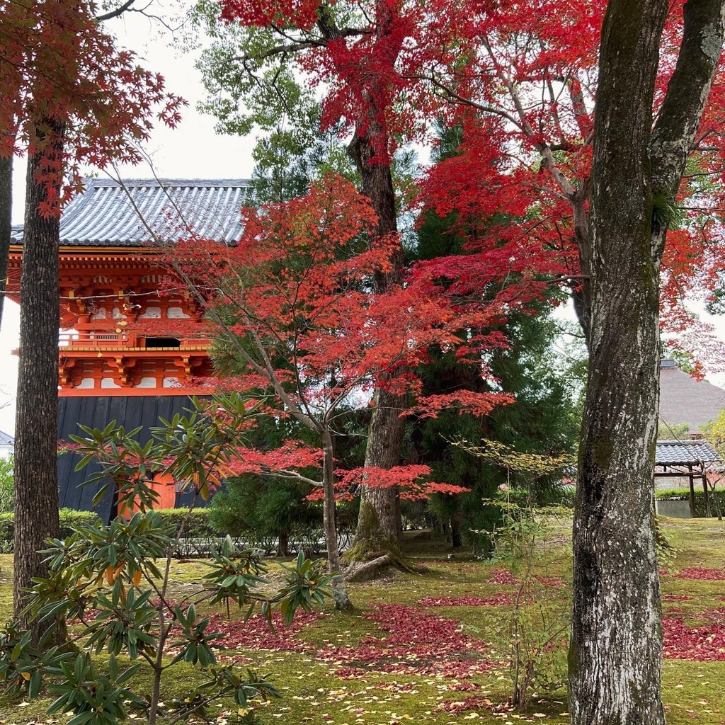 御室仁和寺 