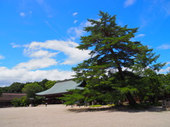 奈良県橿原神宮②