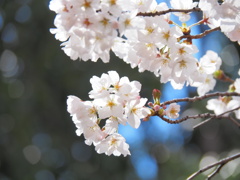 E237F19B-8F34-455B-99F8-5180B93AAD29