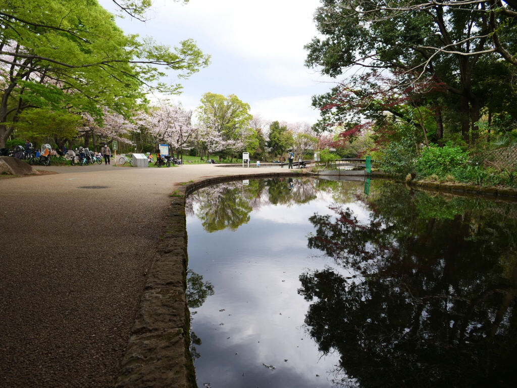 春さんぽ