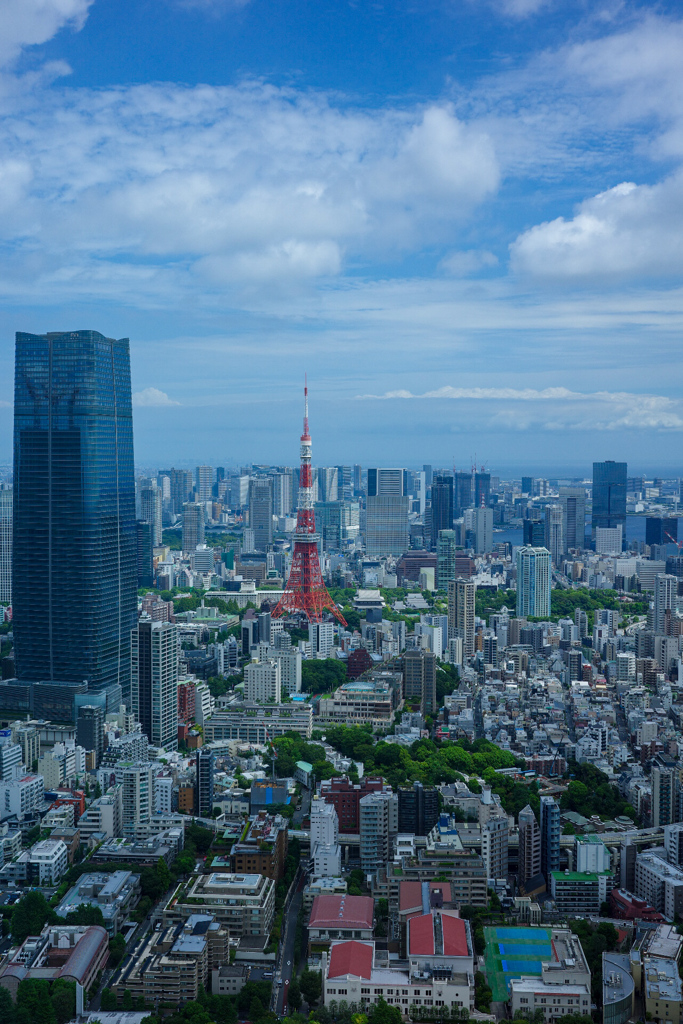 夏の東京タワー