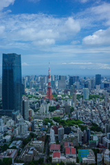 夏の東京タワー